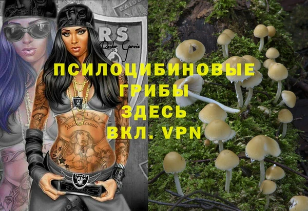 кокс Протвино